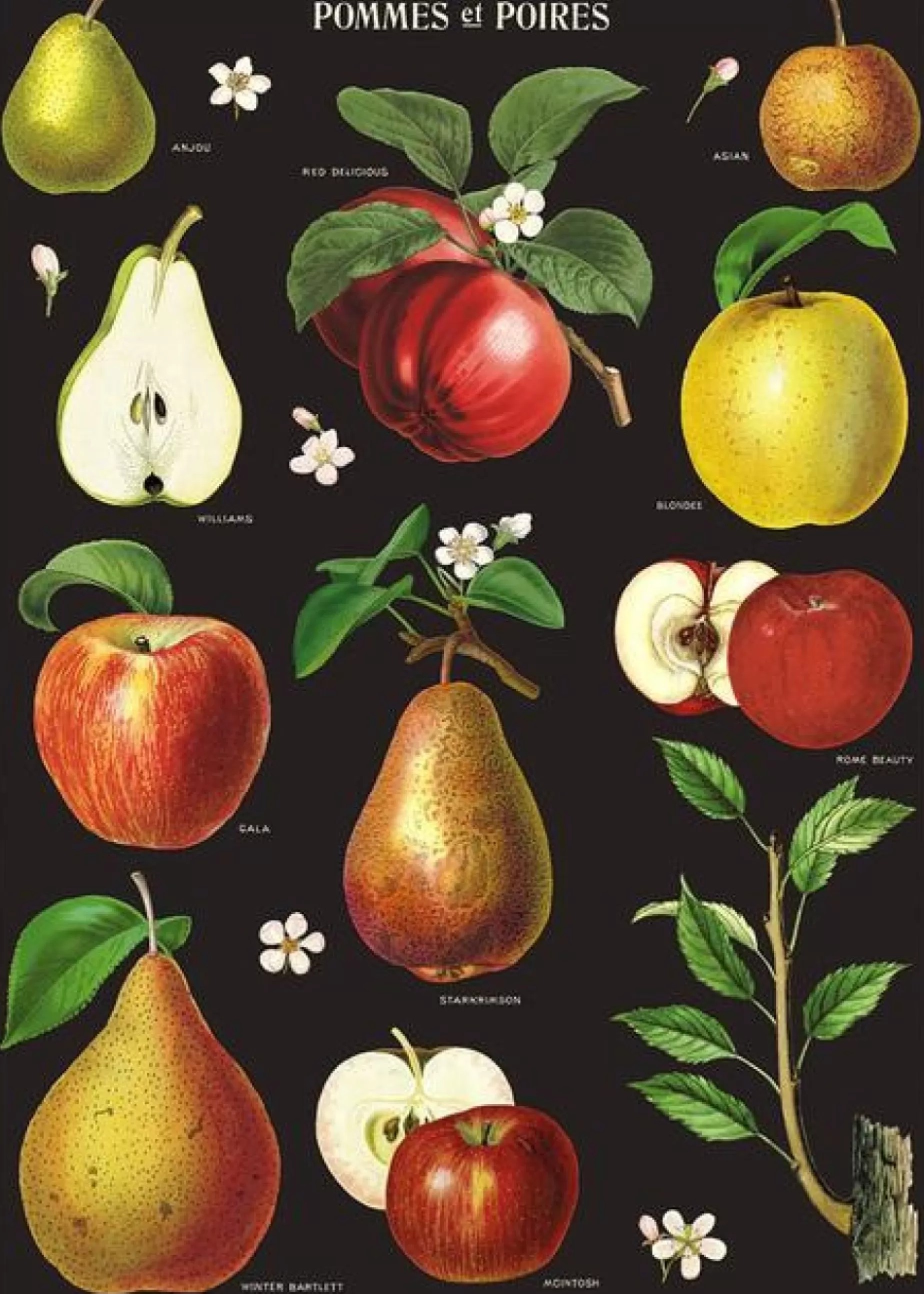 Apples And Pears Tea Towel<Cavallini Papers & Co. Inc New