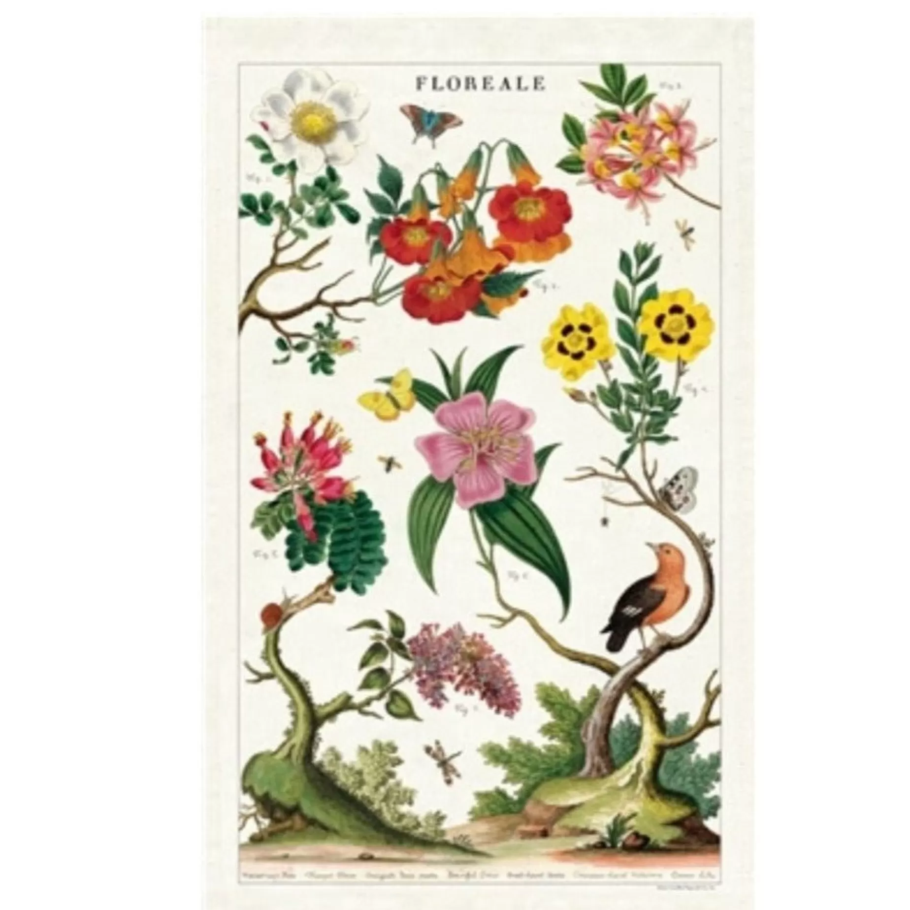 Botanical Tea Towel - Floral Tea Towel<Cavallini Papers & Co. Inc Cheap