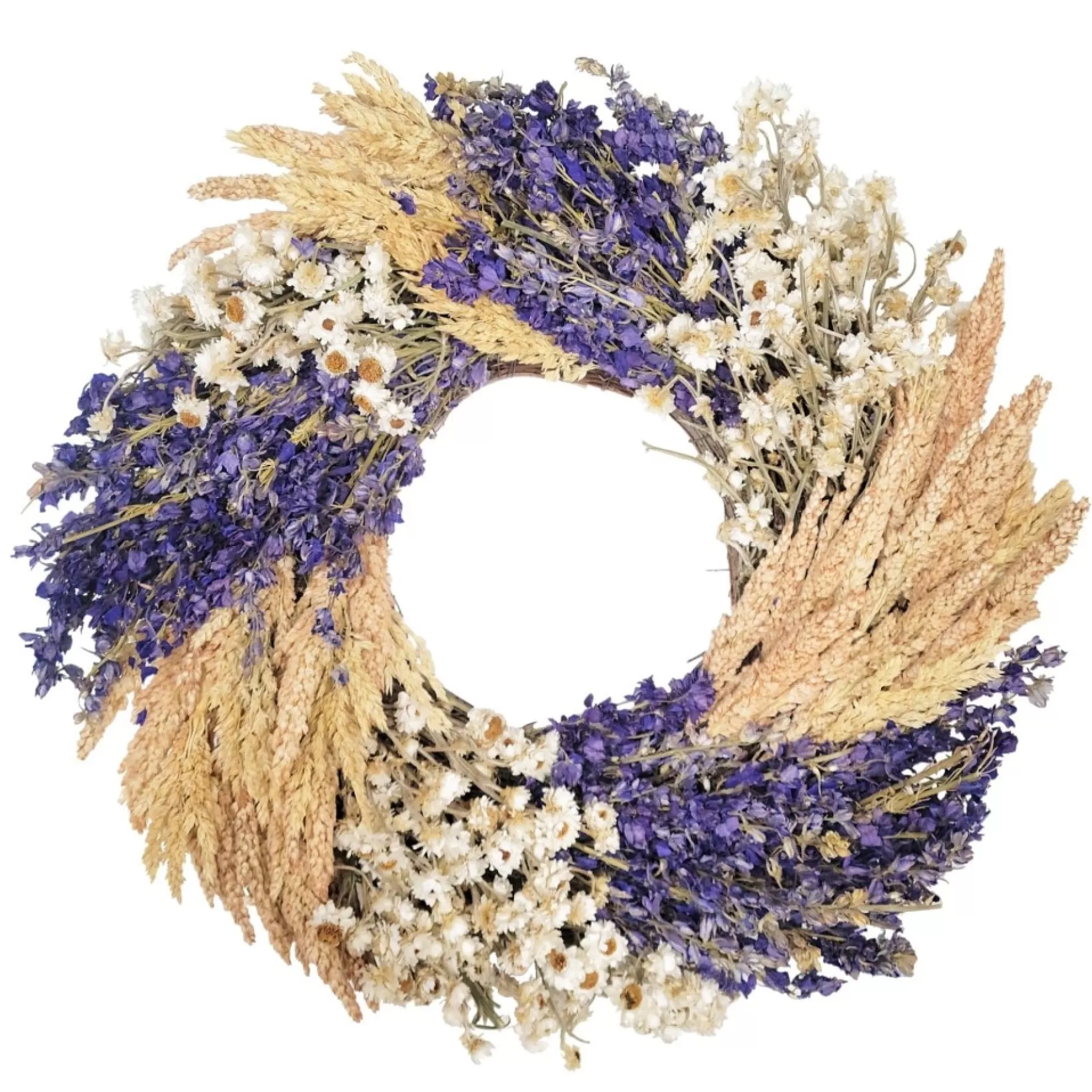 Dried Botanicals Wreath - Larkspur Daisy Swirl - 16"<FLORAL TREASURE Hot