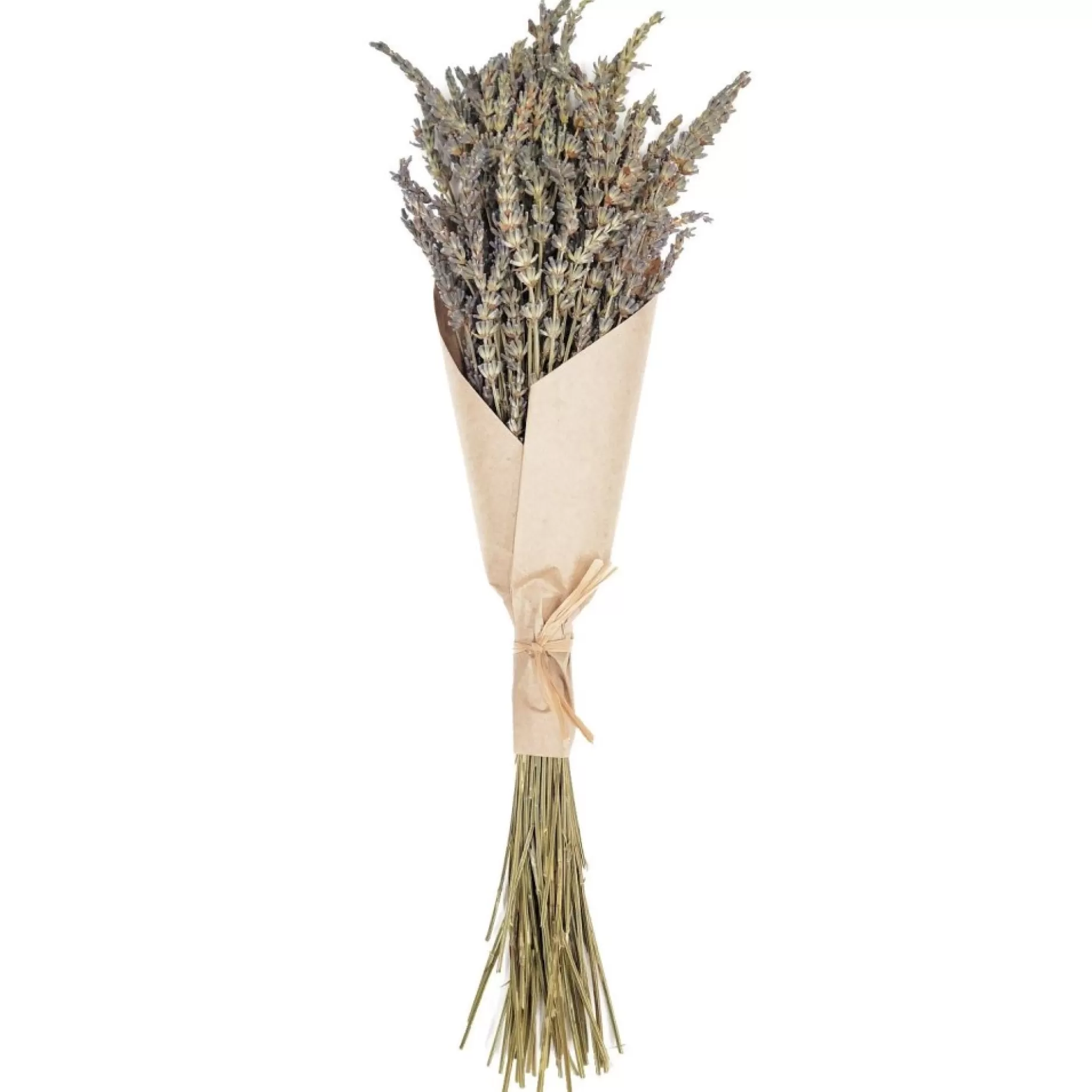 Tall Dried Lavender Bouquet<FLORAL TREASURE Clearance