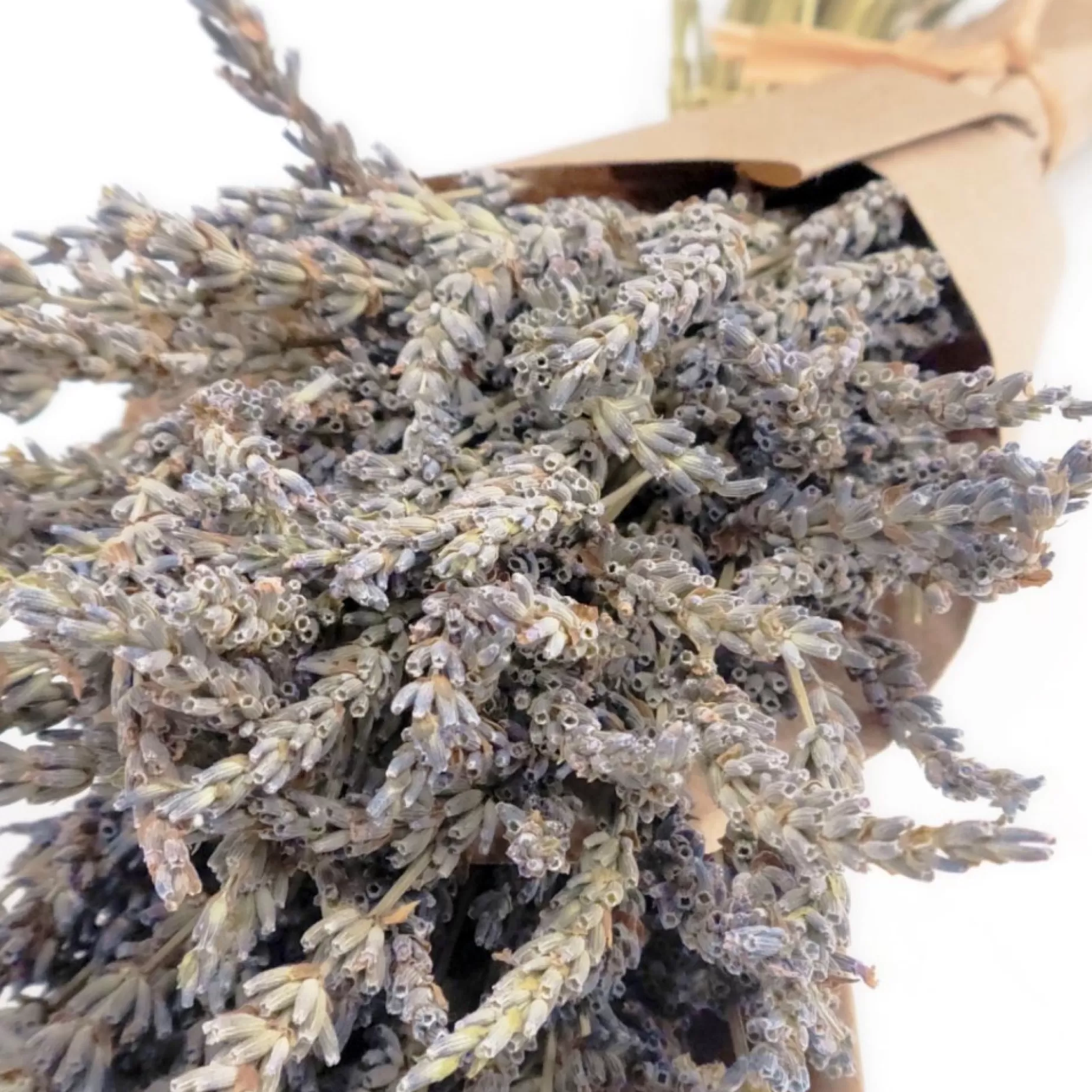 Tall Dried Lavender Bouquet<FLORAL TREASURE Clearance