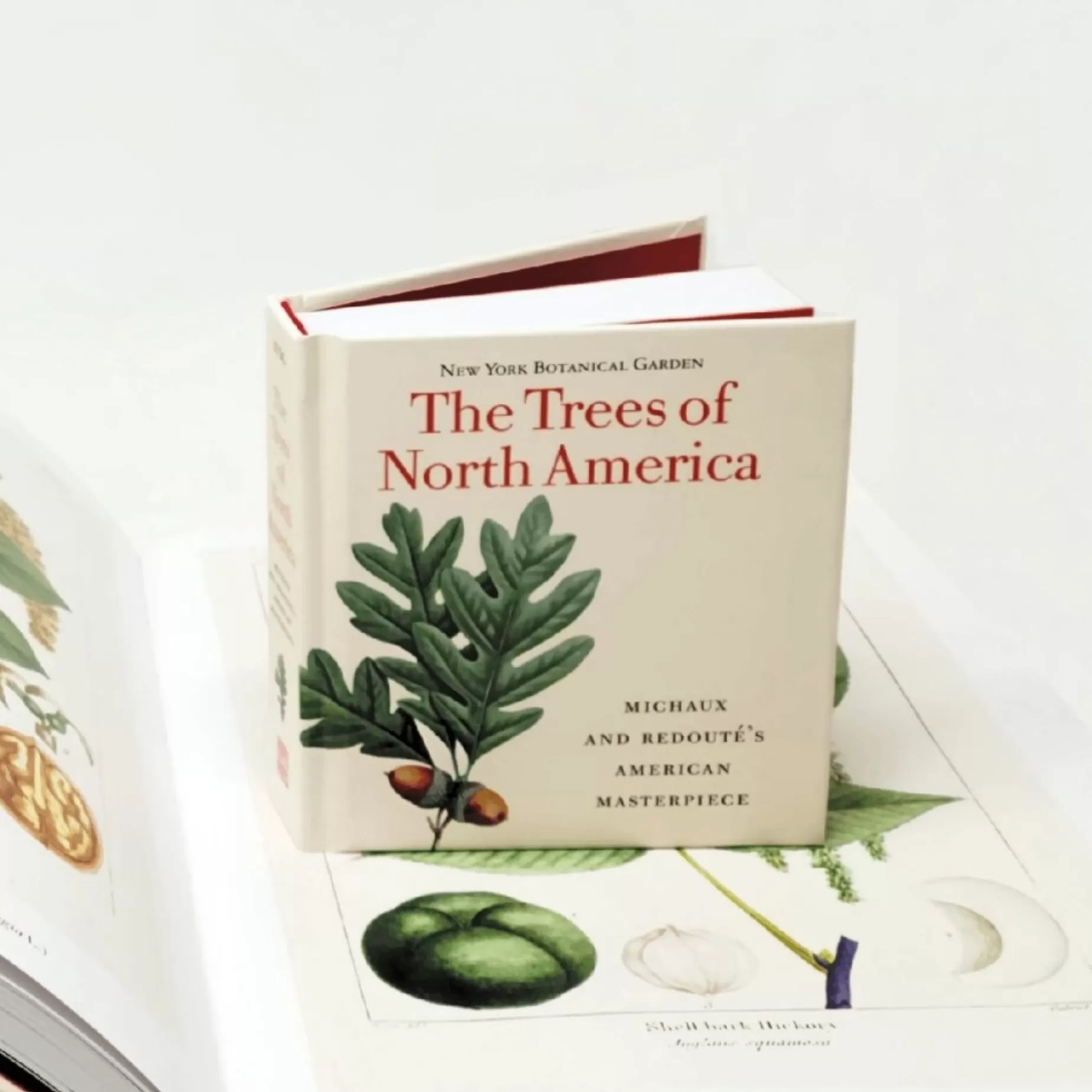 Trees Of North America - Tiny Folio<W.W. NORTON & CO. Best