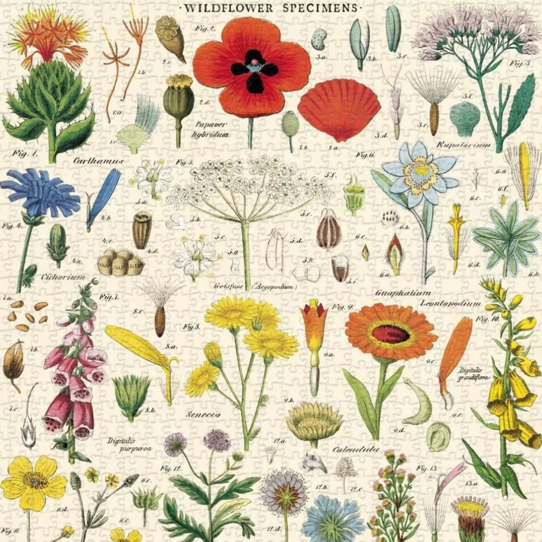 Wildflowers Vintage Puzzle<Cavallini Papers & Co. Inc Shop